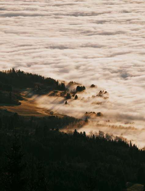 Finding Your Voice as a Caregiver: How to Communicate Under Pressure